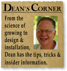 Deans_corner